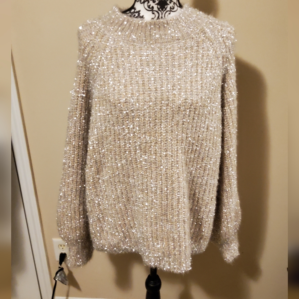 See N Be Seen Metallic Blush Sweater Size 2x